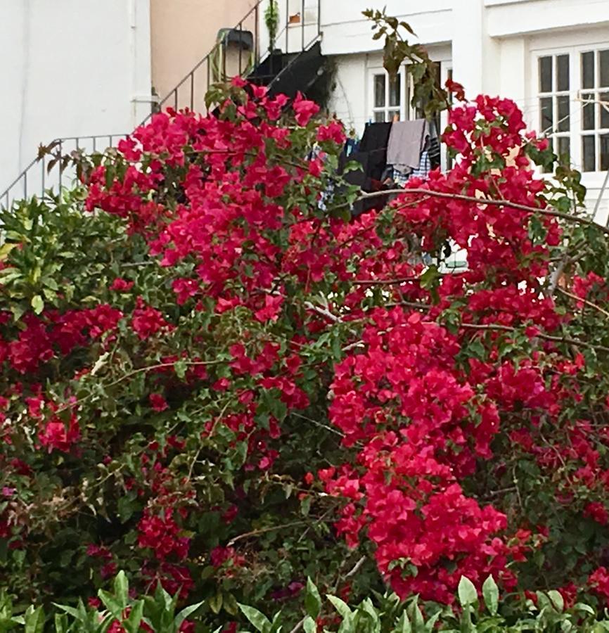 Flores Lisboa Extérieur photo